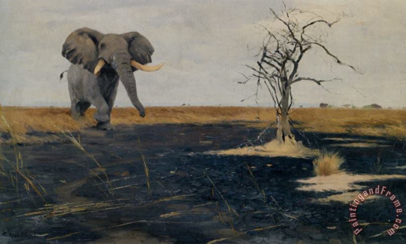 Wilhelm Kuhnert The Lone Elephant Art Painting