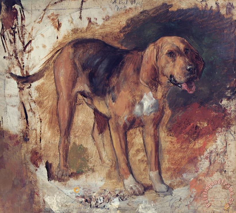 Study of a Bloodhound painting - William Holman Hunt Study of a Bloodhound Art Print