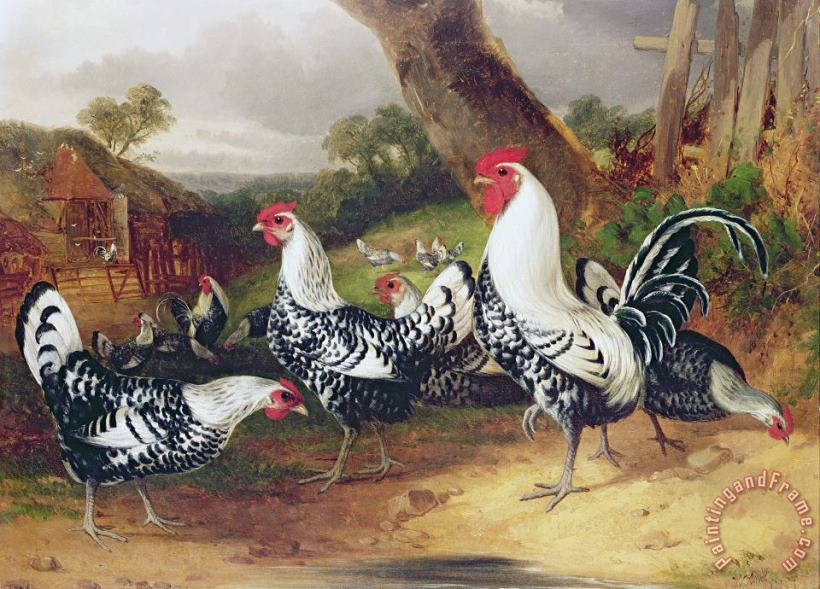 William Joseph Shayer Cockerels in a Landscape Art Painting