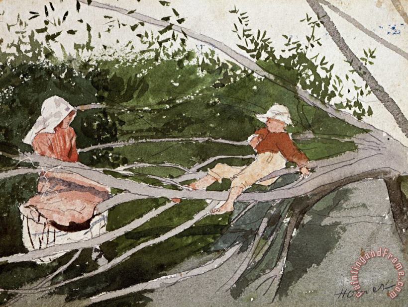 Out on a Limb painting - Winslow Homer Out on a Limb Art Print