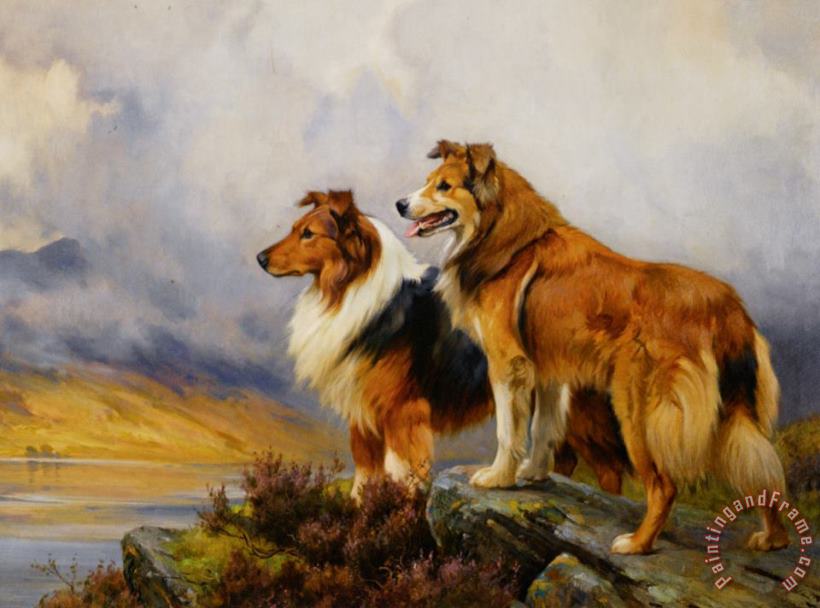 Wright Barker Two Collies Above a Lake Art Painting