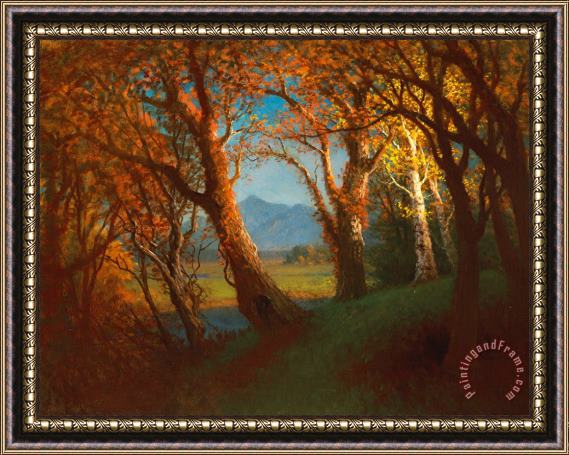 Albert Bierstadt Sunset in the Nebraska Territory Framed Painting
