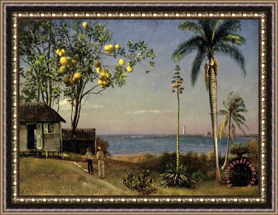Albert Bierstadt Tropical Scene Framed Painting