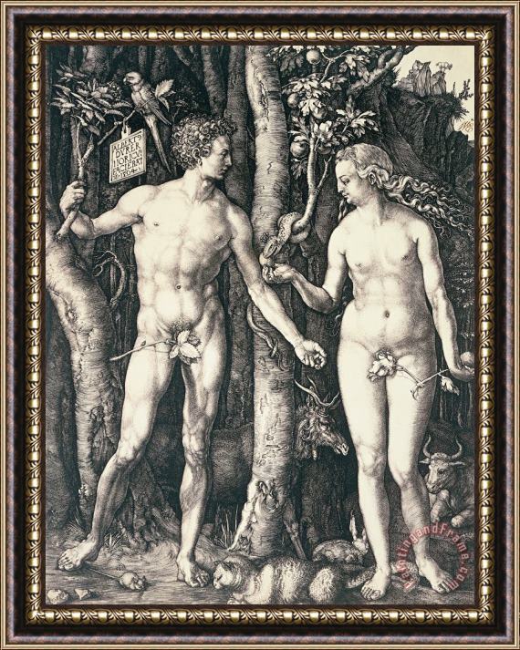 Albrecht Durer Adam And Eve 2 Framed Print