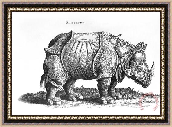 Albrecht Durer Rhinoceros No 76 From Historia Animalium By Conrad Gesner Framed Painting