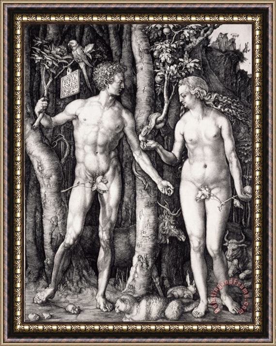 Albrecht Durer The Fall of Man (adam And Eve) Framed Painting