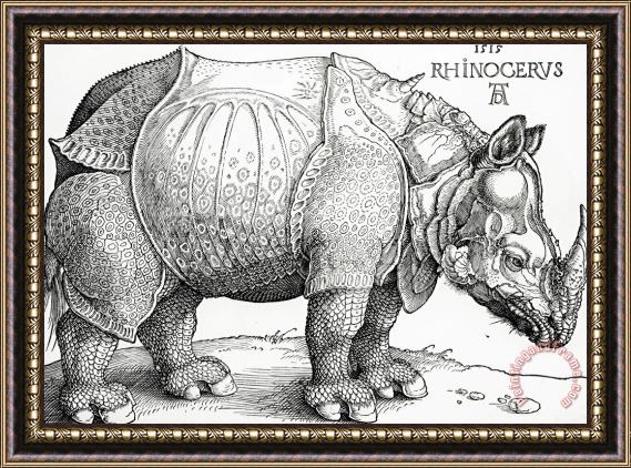 Albrecht Durer The Rhinoceros Framed Painting