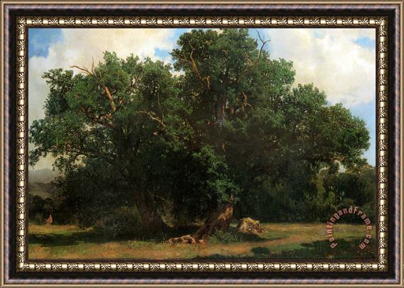 Alexandre Calame Oak Trees Framed Print