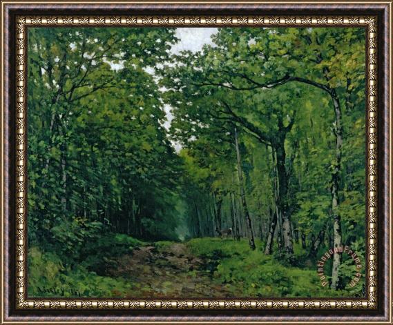 Alfred Sisley The Avenue of Chestnut Trees Framed Painting