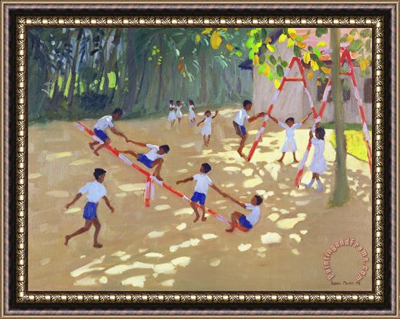 Andrew Macara Playground Sri Lanka Framed Print