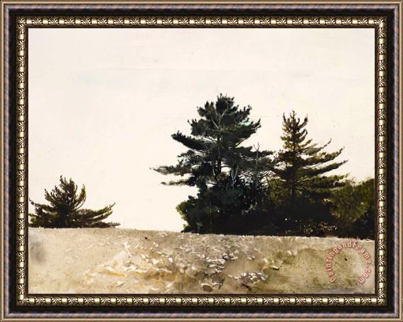 andrew wyeth Cutler Cove, Study for Sandspit, 1953 Framed Painting