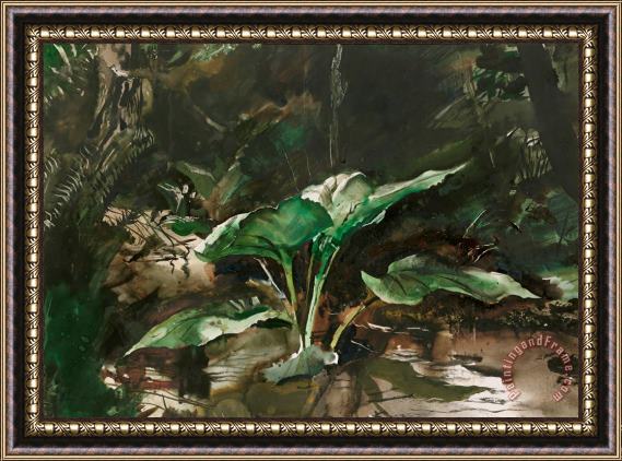 andrew wyeth Skunk Cabbage 1953 Framed Painting