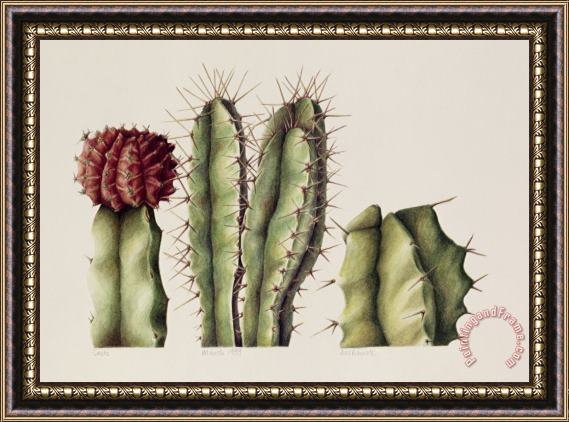 Annabel Barrett Cacti Framed Print