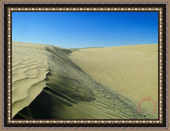 Blair Wainman Shifting Sands Framed Painting