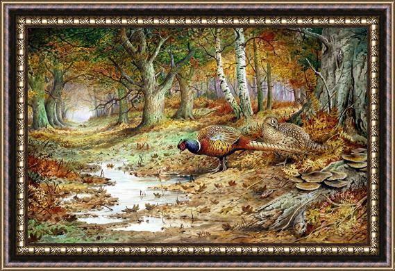 Carl Donner Cock Pheasant and Sulphur Tuft Fungi Framed Painting