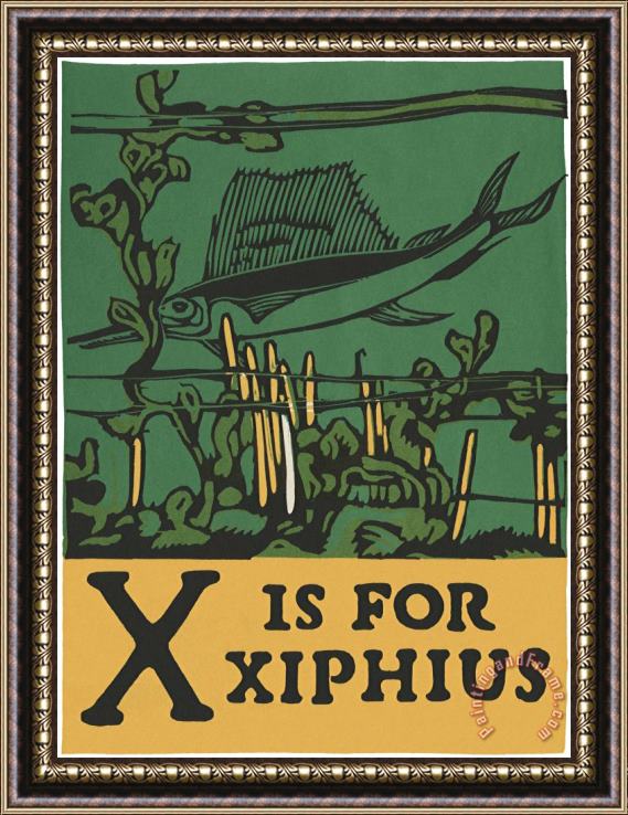 C.B. Falls Alphabet: X Is for Xiphius Framed Painting