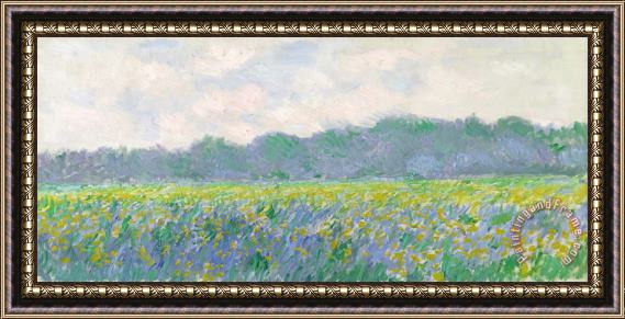 Claude Monet Field of Yellow Irises at Giverny Framed Print