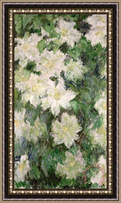 Claude Monet White Clematis Framed Painting