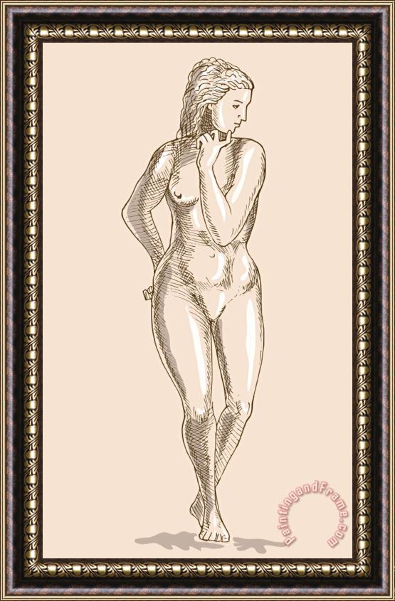 Collection 10 Female Human Anatomy Framed Print