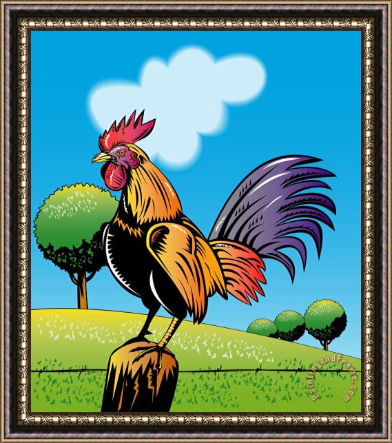Collection 10 Rooster Cockerel Cock Crowing Retro Framed Painting