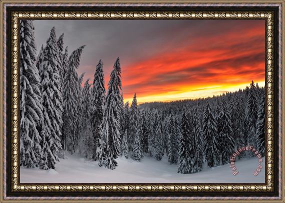 Collection 12 Heavens In Flames Framed Print