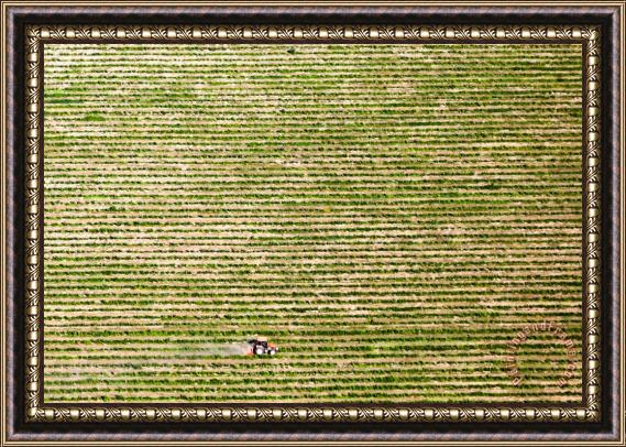 Collection 12 Small tractor in a big field Framed Print