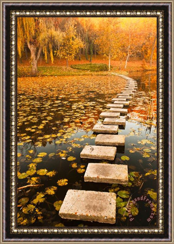 Collection 12 Way in the Lake Framed Painting