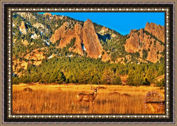 Collection 14 Buck and Flatirons Framed Painting