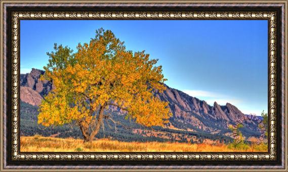 Collection 14 Fall in the Flatirons Framed Painting