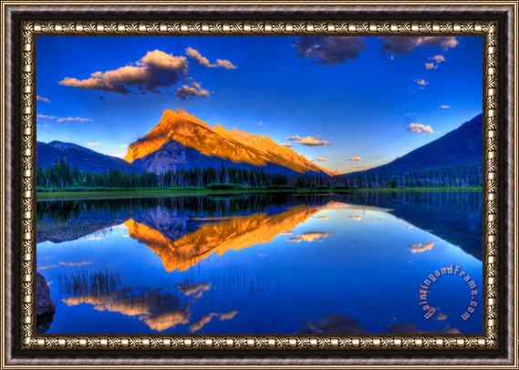 Collection 14 Life's Reflections Framed Painting