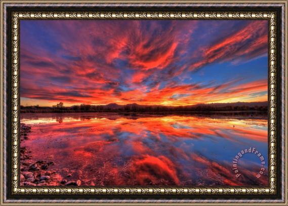 Collection 14 Ponds of Fiery Framed Painting