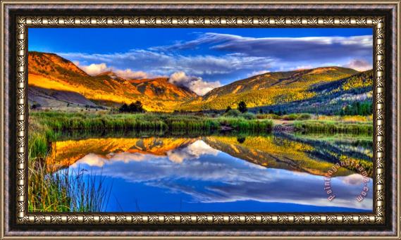 Collection 14 The Beauty of Green Framed Print