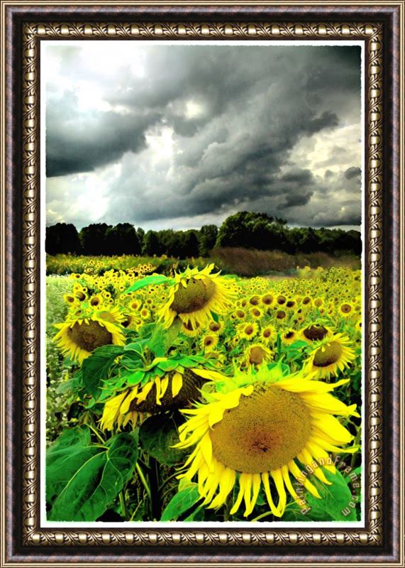 Collection 8 August storm Framed Painting