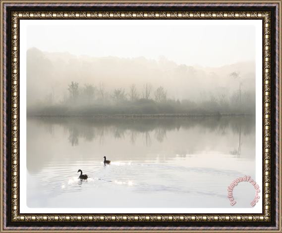 Collection 8 Calm water Framed Painting