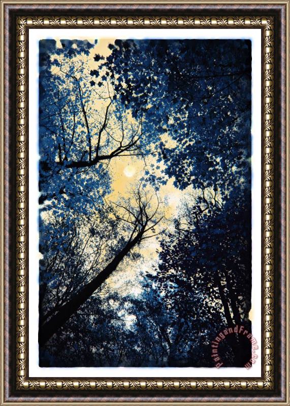 Collection 8 China blue Framed Painting