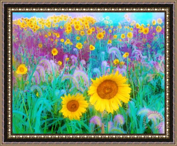 Collection 8 In the morning Framed Print