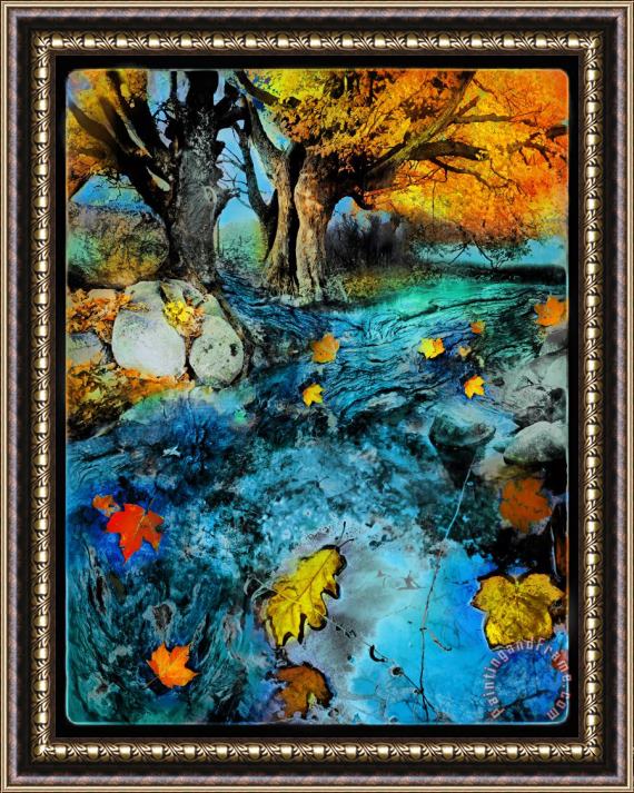 Collection 8 Moving down stream Framed Print