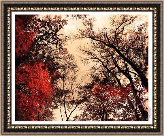 Collection 8 October afternoon Framed Painting