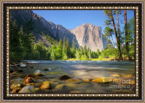 Collection Merced River in Yosemite Valley Framed Painting