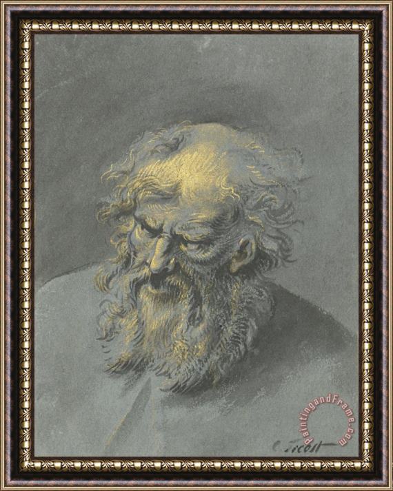 Cornelis Troost Kop Van Een Oude Man Met Baard (een Apostel of Filosoof) Framed Painting