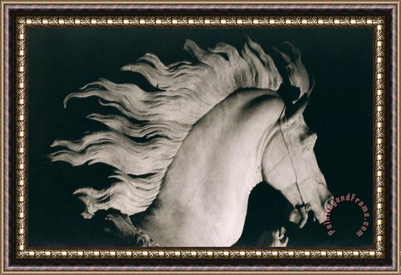 Coustou Horse of Marly Framed Painting