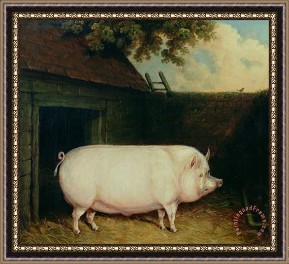 E M Fox A Pig in its Sty Framed Painting