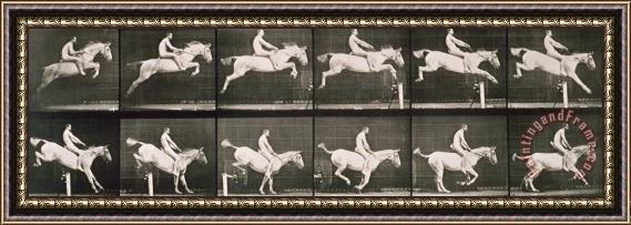 Eadweard Muybridge Man And Horse Jumping A Fence Framed Painting
