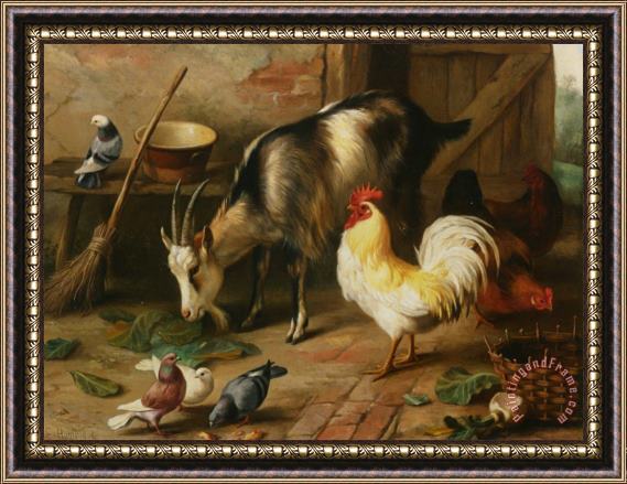 Edgar Hunt A Goat Chicken And Doves in a Stable Framed Print