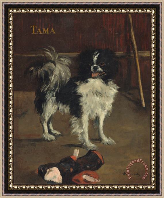 Edouard Manet Tama, The Japanese Dog Framed Painting