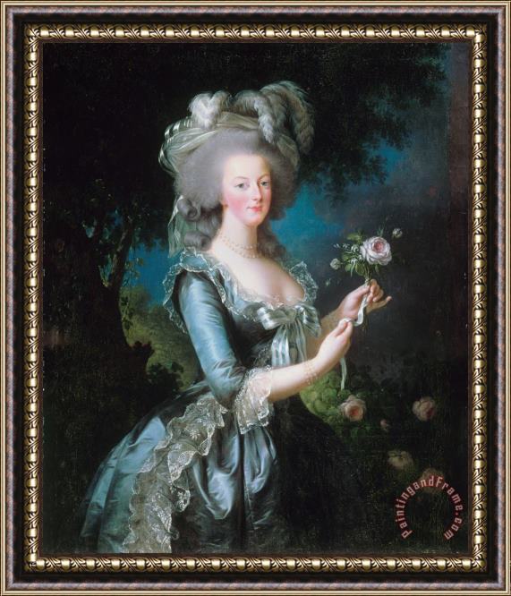 Elisabeth Louise Vigee Lebrun Marie Antoinette with The Rose Framed Painting