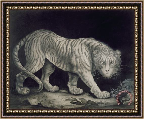 Elizabeth Pringle A Prowling Tiger Framed Painting