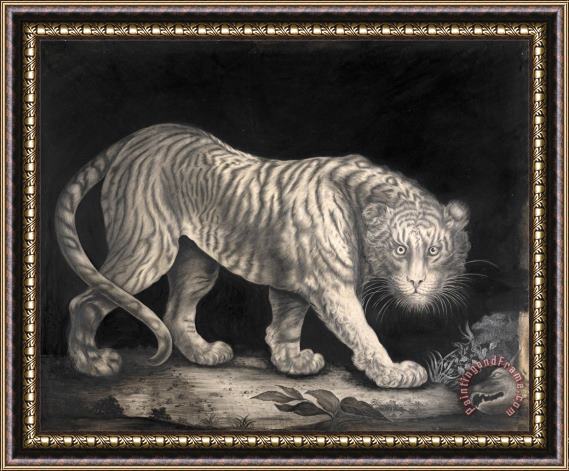 Elizabeth Pringle A Prowling Tiger Framed Painting