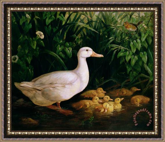 English School Duck and ducklings Framed Painting