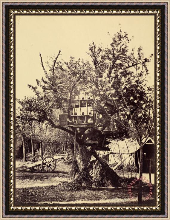 Eugene Colliau Pigeon House in Tree Framed Painting